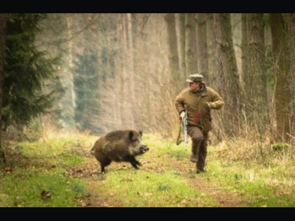 చిత్రం #6