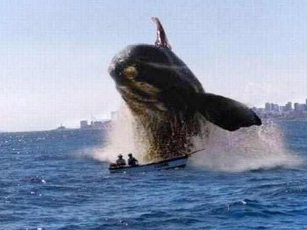 చిత్రం #8