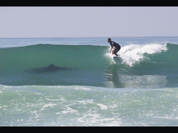 చిత్రం #12