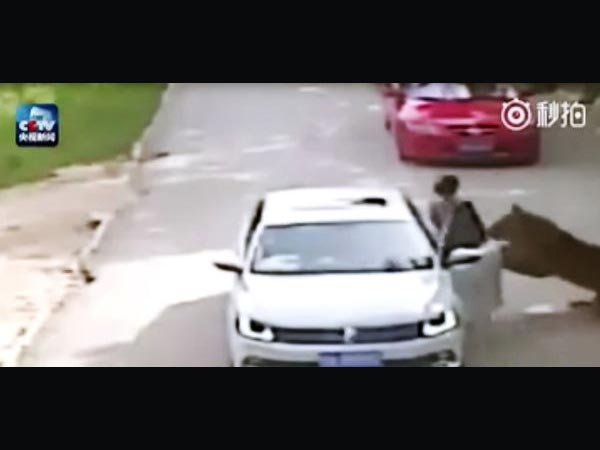 చిత్రం #13