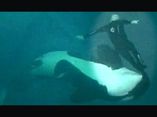 చిత్రం #14