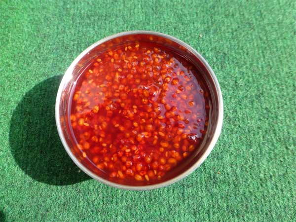 ది రెడ్ యాంట్ చట్నీ!