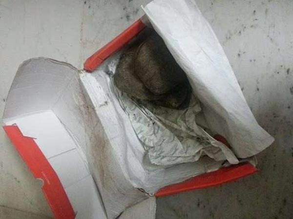 షూస్ బదులుగా కొబ్బరికాయలు!