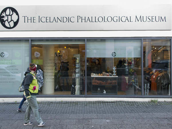 Have you heard about the penis museum