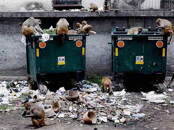 3జీవంలేని వ్యర్థాలతో ఆపదలకు మూలం :