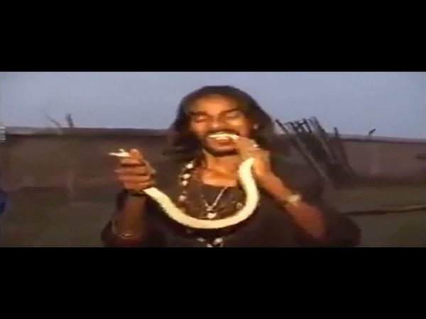 ఔషధ ప్రయోజనాలు! 