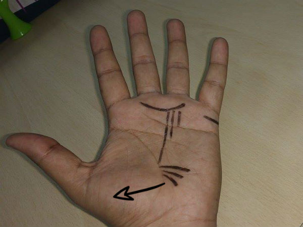 ట్రావెల్ లైన్స్