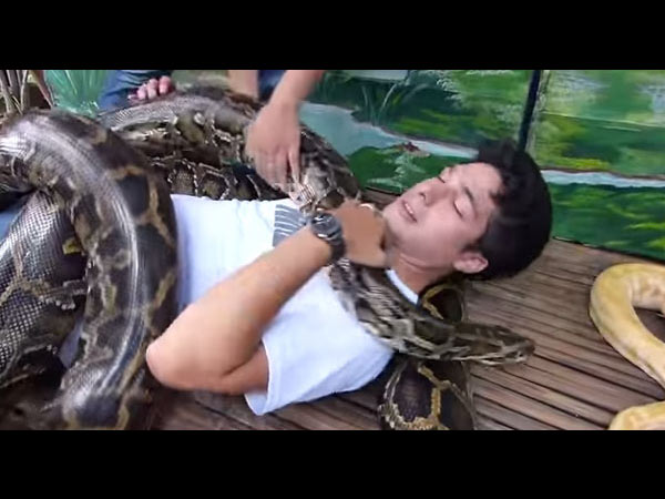 మిమ్మల్ని పట్టుకోవడం :