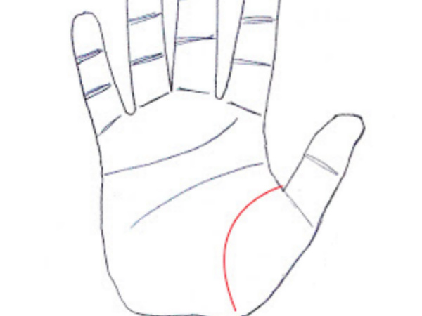 #8. పురుషులలో, జీవనశైలి వీనస్ మౌంట్ తో భర్తీ చేస్తున్నట్లైతే అది బొటనవేలు క్రింద నుండి మొదలవుతుంది