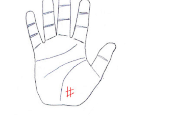 #1. శుక్రరేఖ పై