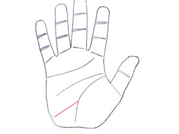 #4.వీనస్ మౌంట్ వైపు ఒక స్త్రీ యొక్క జీవనశైలి వెళుతుందంటే 