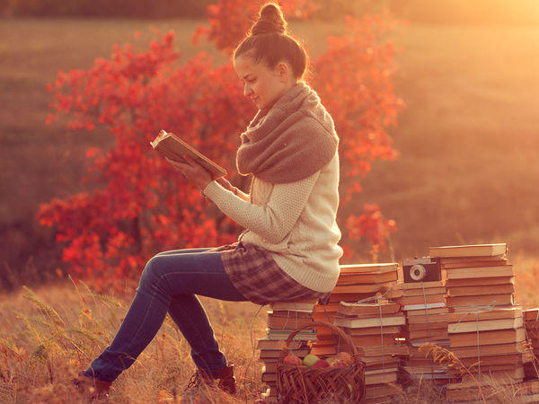 ది పార్టీ యానిమల్