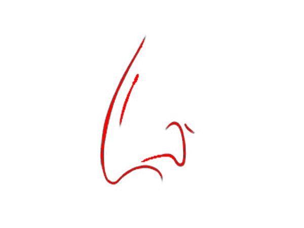 హుక్ నోస్ : 