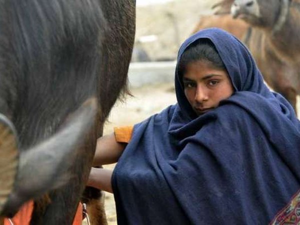 ఎవరూ ఫిర్యాదు చేయడానికి ముందుకు రాకపోవడంతో