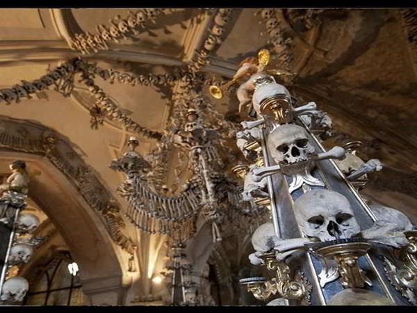 1. ఇక్కడ పుర్రె ఎముకలతో చేసిన కిరణాలు 1. ఇక్కడ పుర్రె ఎముకలతో చేసిన కిరణాలు