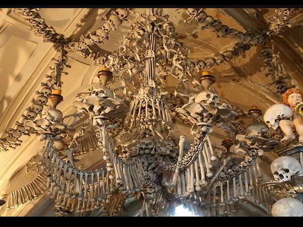 2. శరీరంలోని ప్రతి ఎముకను 2. శరీరంలోని ప్రతి ఎముకను