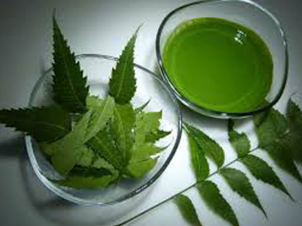 8. వేపపుల్ల