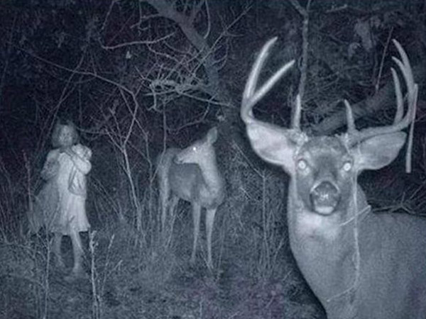 creepy pictures with stories creepy pictures with stories