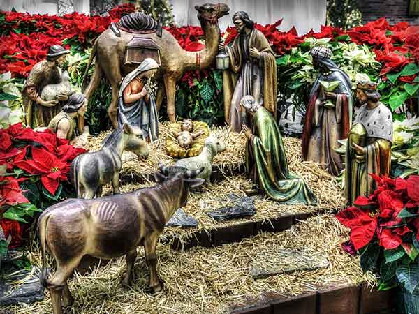 పాకలో జంతువులు