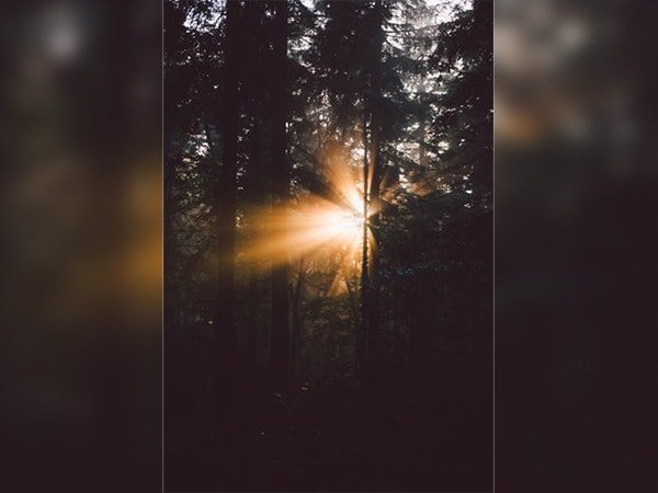 #4 విటమిన్ డీ తో ఉపశమనం పొందండి #4 విటమిన్ డీ తో ఉపశమనం పొందండి