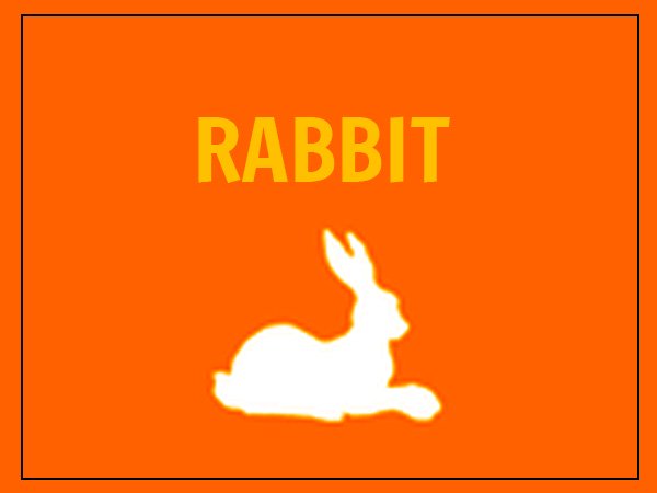 కుందేలు 