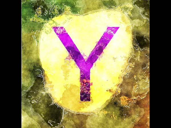 ‘‘Y’’