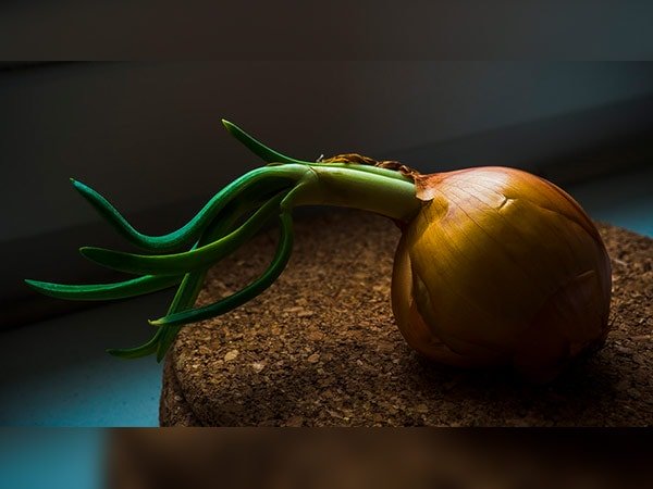 4. వెల్లుల్లి :