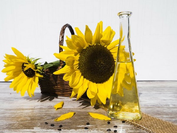  గుండె ఆగిపోవుట