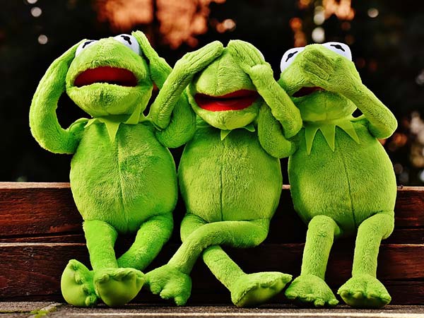 నోటిలో కప్ప