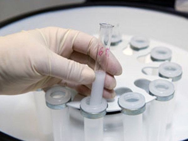 ఫలదీకరణం