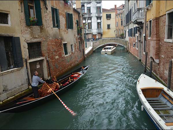 కైలాష్ నేపథ్యం :