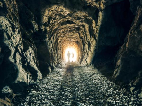 20,000 ఎకరాల్లో ఉంది