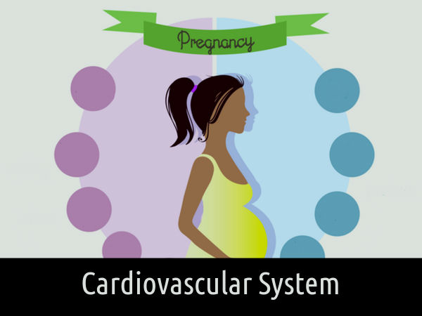 హృదయనాళ వ్యవస్ధలో మార్పులు 