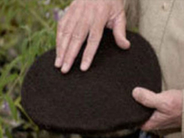 పంటలకు ఎరువు !!