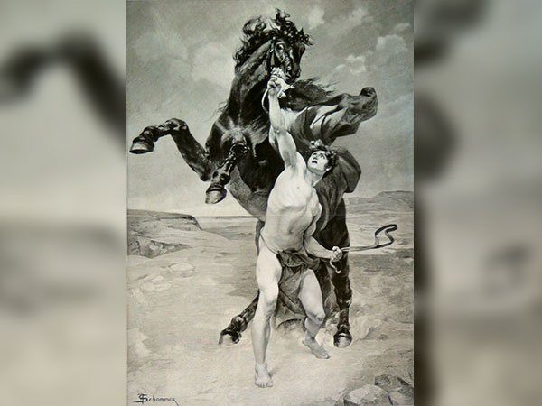 తండ్రిని చంపారు