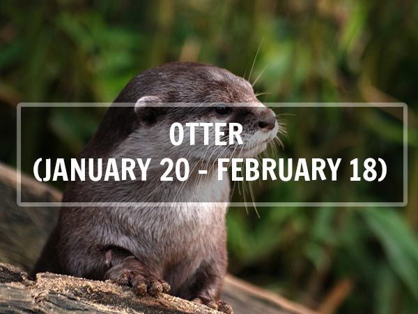 ఆటర్(జనవరి 20- ఫిబ్రవరి 18; కుంభరాశి) ఆటర్(జనవరి 20- ఫిబ్రవరి 18; కుంభరాశి)