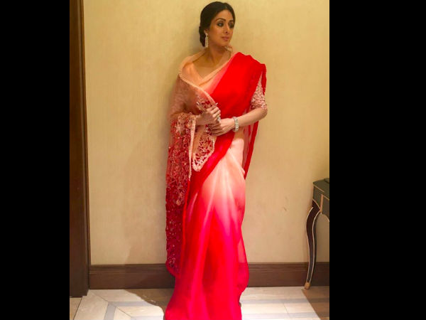 Remembering The Gorgeous Sridevi, Best Looks She Carried In 2017-2018 