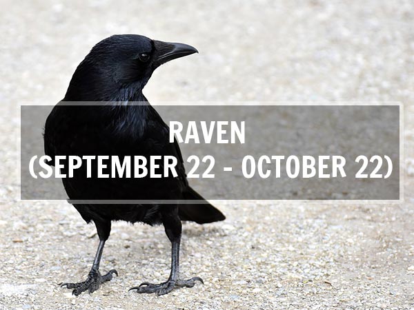రావెన్ (సెప్టెంబర్ 22 - అక్టోబర్ 22; తులారాశి) రావెన్ (సెప్టెంబర్ 22 - అక్టోబర్ 22; తులారాశి)