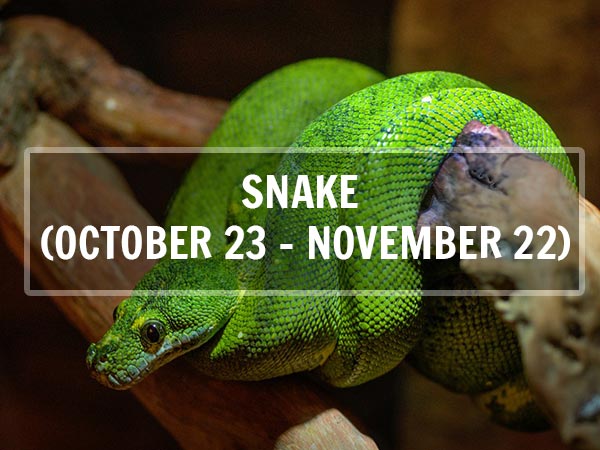స్నేక్ (అక్టోబర్ 23- నవంబర్ 22;వృశ్చికరాశి) స్నేక్ (అక్టోబర్ 23- నవంబర్ 22;వృశ్చికరాశి)