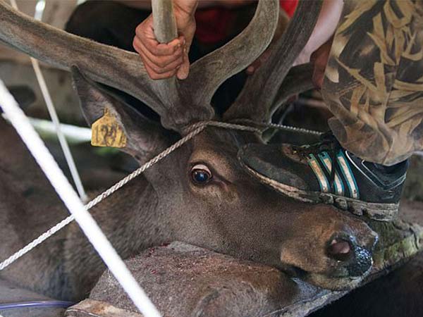 అక్కడ ఉండే వారి నమ్మకం