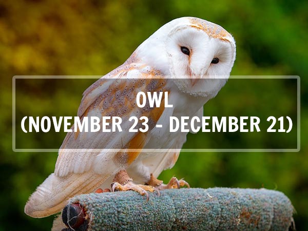 ఓల్ (నవంబర్ 23- డిసెంబర్ 21; ధనుస్సు రాశి) ఓల్ (నవంబర్ 23- డిసెంబర్ 21; ధనుస్సు రాశి)