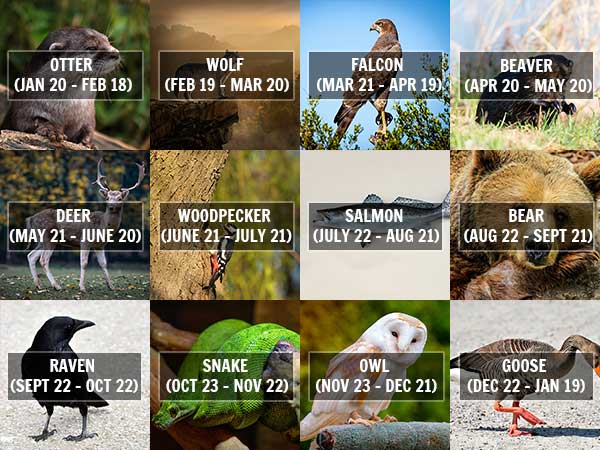 facts about American zodiac signs facts about American zodiac signs