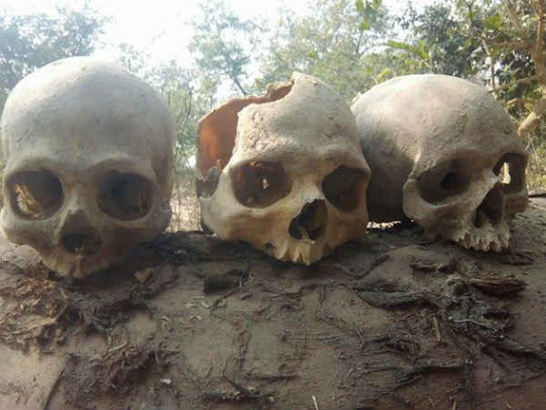 తమిళనాడు అంతటా