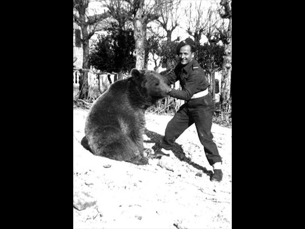 చాలా పెద్దగా అయిపోయింది