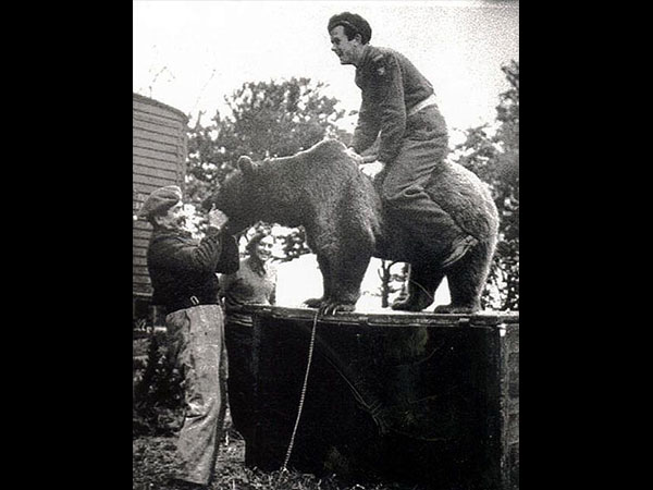 సైనికులకు సాయం చేసేది