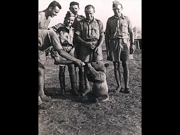 నాకు ఒక పెగ్ కావాలి