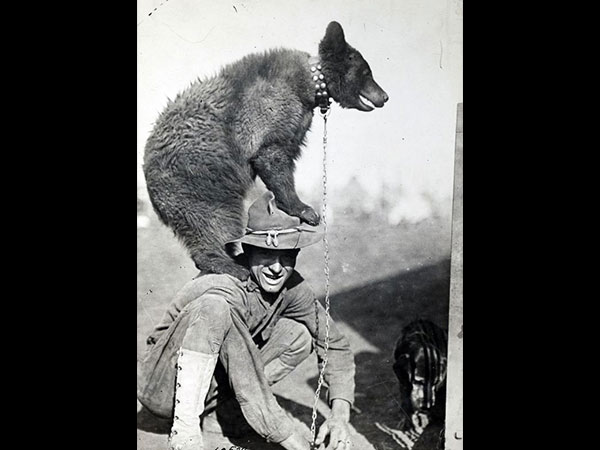 మంచి ఫ్రెండ్ 