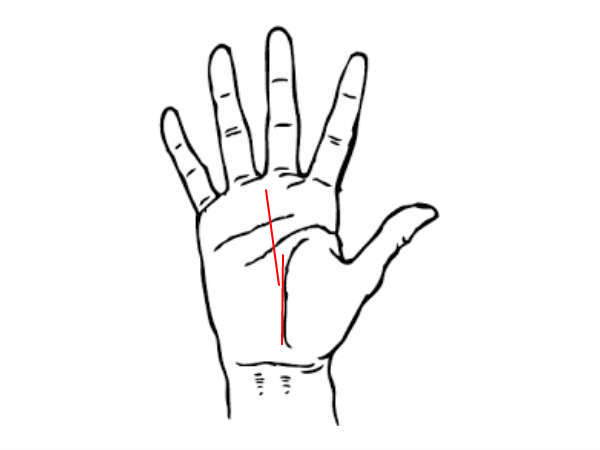 ఉన్నత శిఖరాలను అధిరోహిస్తారు