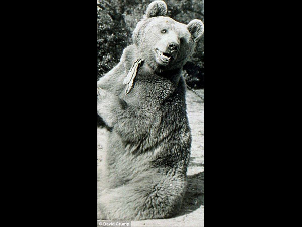 వాయ్‌టెక్‌కు శిక్షణ