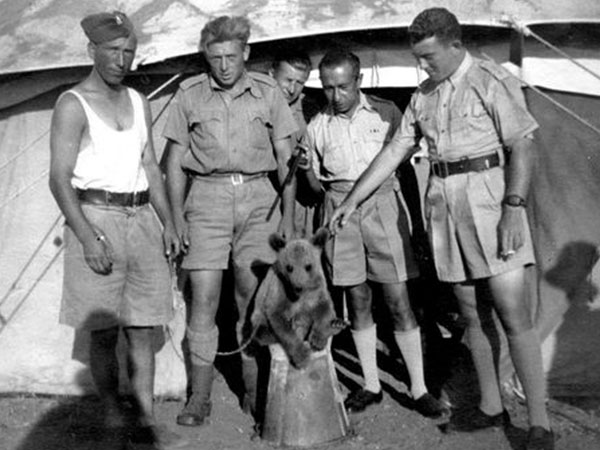 వాయ్‌టెక్‌ &వాజ్ టెక్ అని పేరు పెట్టారు